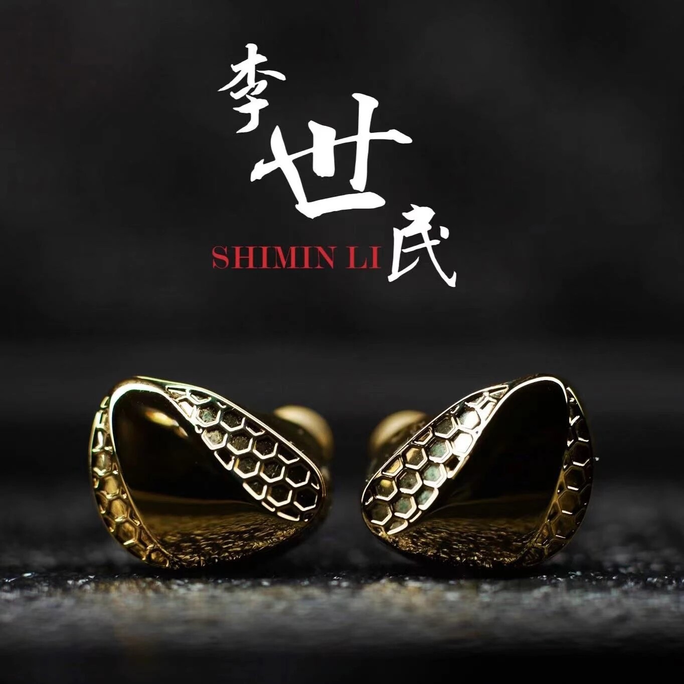 TANGZU Shimin Li Hifi Earphone Single Dynamic Driver N52 Magnet In Ear Monitors with 0.78 2pin Socket Cable IEM Headphones